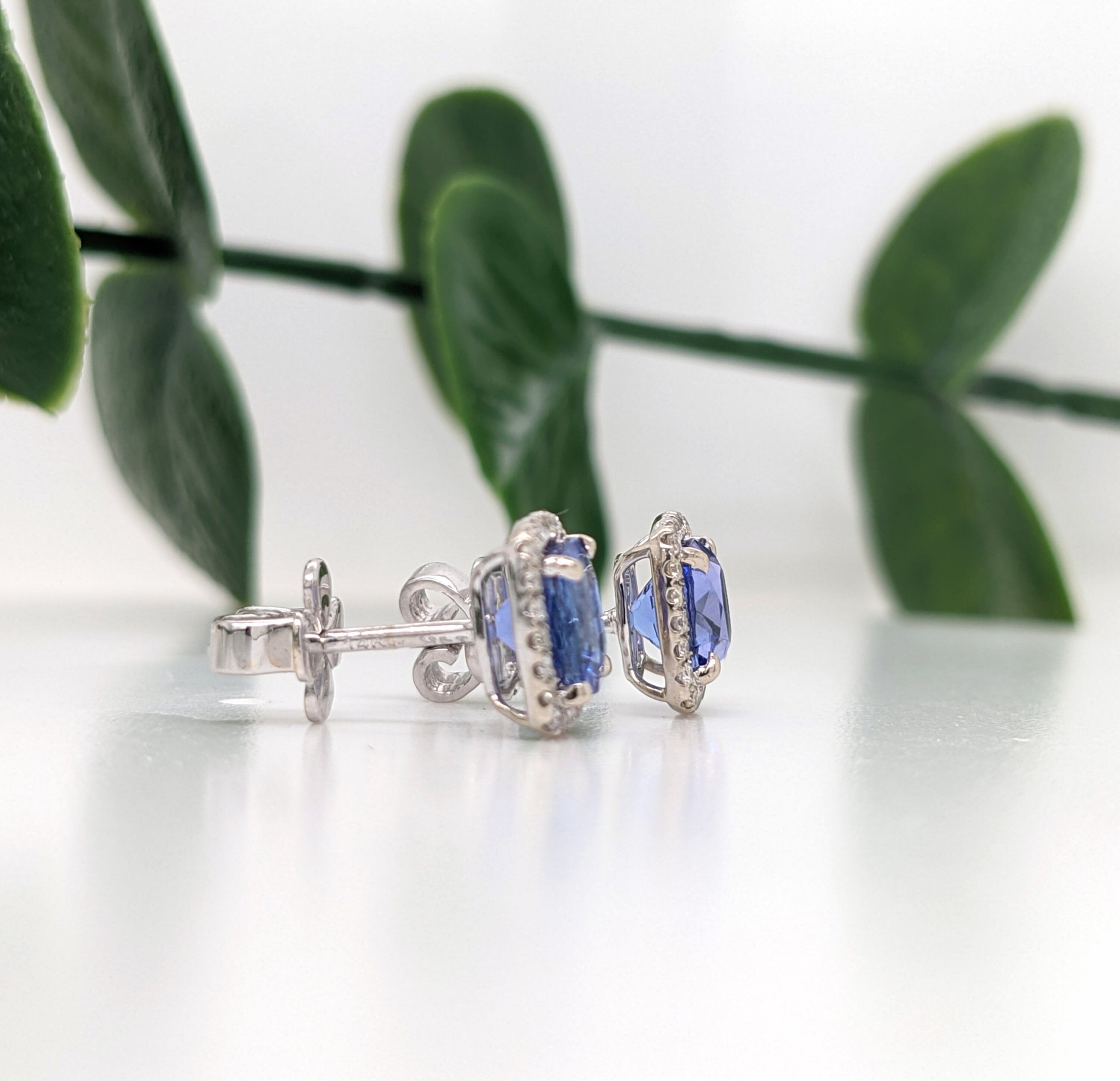 Gorgeous AAA Tanzanite Diamond Halo Studs 14K White Gold | Cushion 6mm | Blue Gemstone Earrings | December Birthstone | Custom | Sparkly